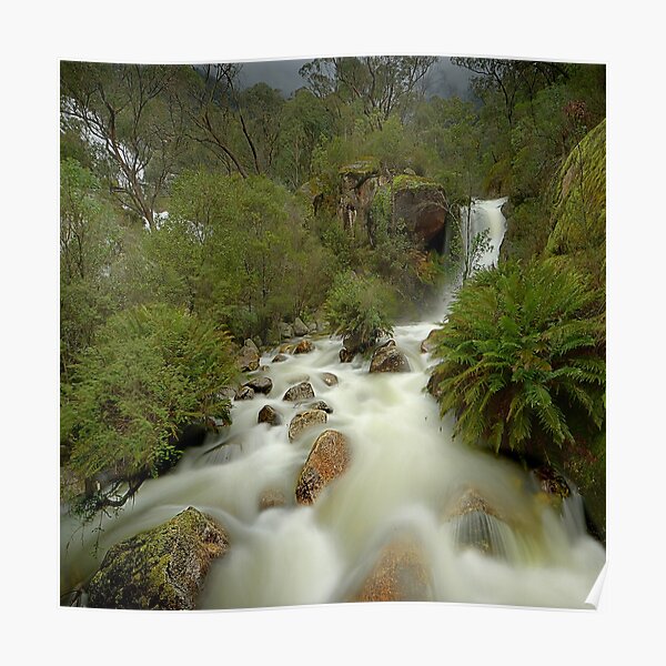 Stormy day, Mount Buffalo Poster