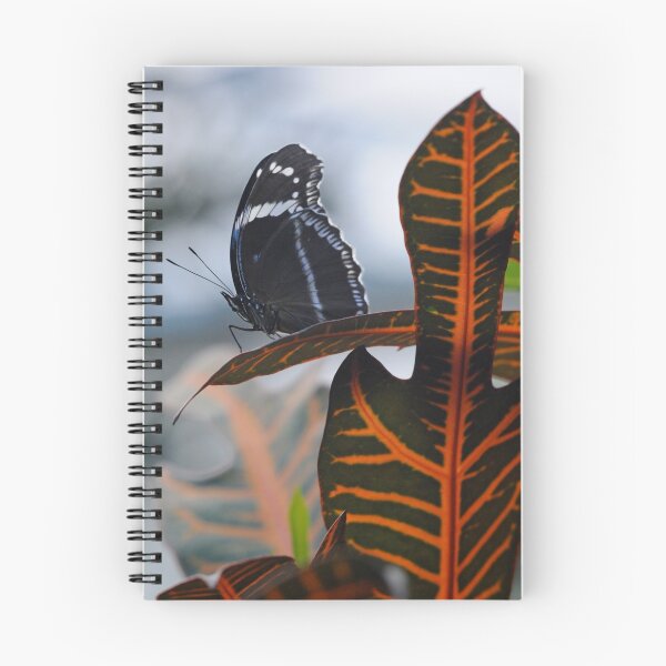 Item preview, OUTLOOK designed and sold by mc27.