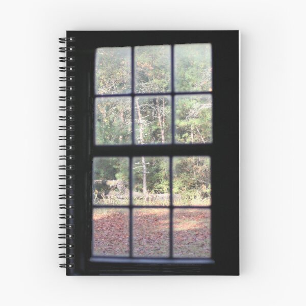 Item preview, Through the Window designed and sold by Lori Walton.