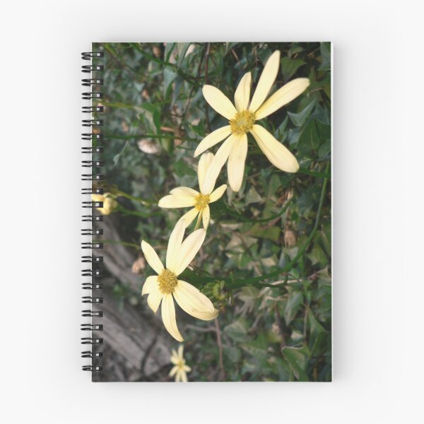 Item preview, Yellow Delights designed and sold by Samantha Field.