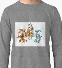 #Enzyme #Informatics, #EnzymeInformatics, #particle #chemistry #medicine #biology #science #biochemistry #shape #chemical #illustration #acid #connection #design #symbol #molecular #insect #horizontal Lightweight Sweatshirt