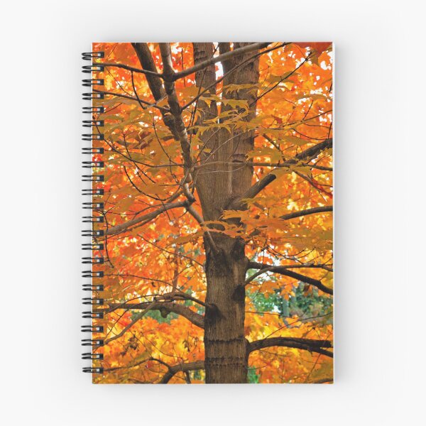 Item preview, Sugar Maple designed and sold by Eileen McVey.