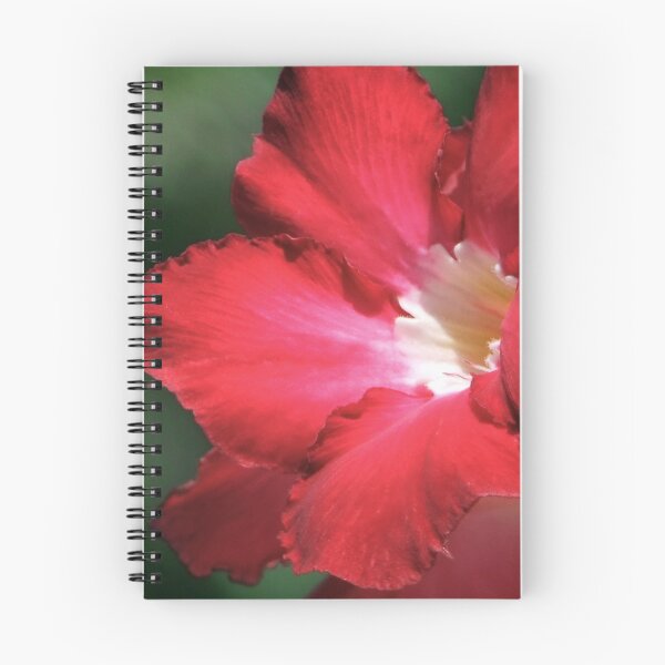 Item preview, Red ! designed and sold by PixPlanet.