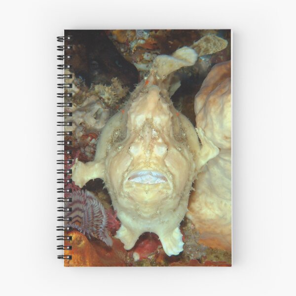 Item preview, Giant Frogfish designed and sold by MattTworkowski.