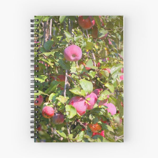 Item preview, Ready for Picking... designed and sold by Larry Llewellyn.