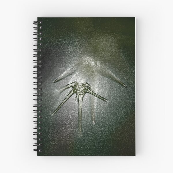 Item preview, Imprint designed and sold by Steve  Woodman.