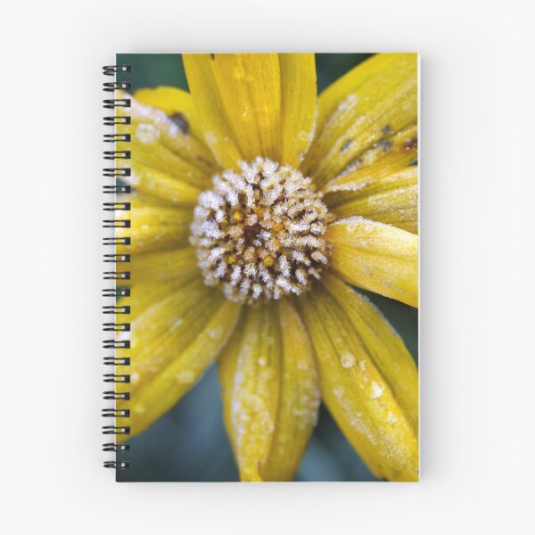 Item preview, Frosted beauty designed and sold by Zuzana D Photography.