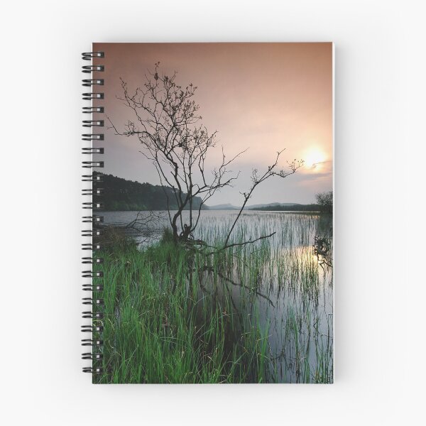 Item preview, LAST STAND. designed and sold by STEVE  BOOTE.