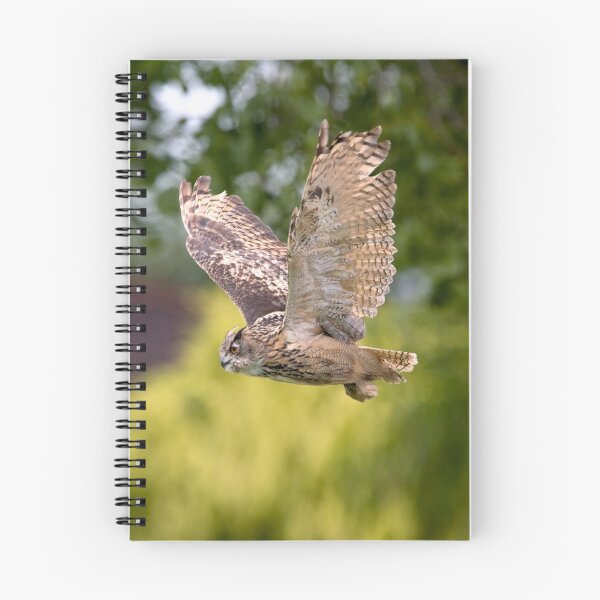 Item preview, European Eagle Owl in Flight designed and sold by JamieP.