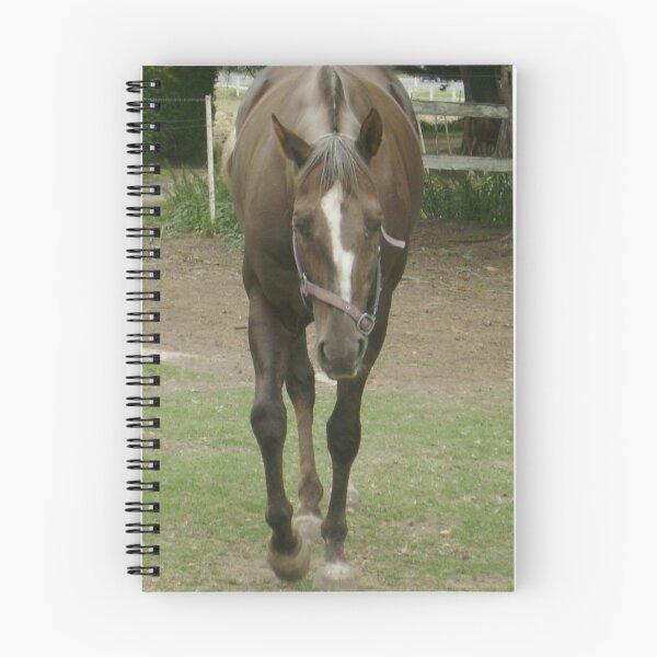Item preview, The Stud designed and sold by Skyhorse.