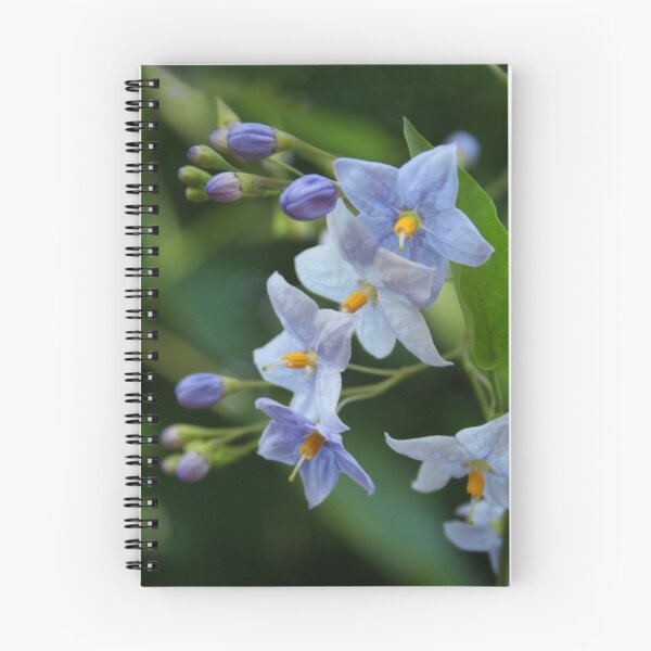 Item preview, blue  solanum jasminoides ("potato vine") designed and sold by picketty.