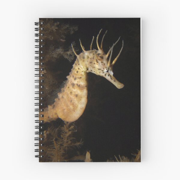 Item preview, Seahorse. designed and sold by James Peake Nature Photography..