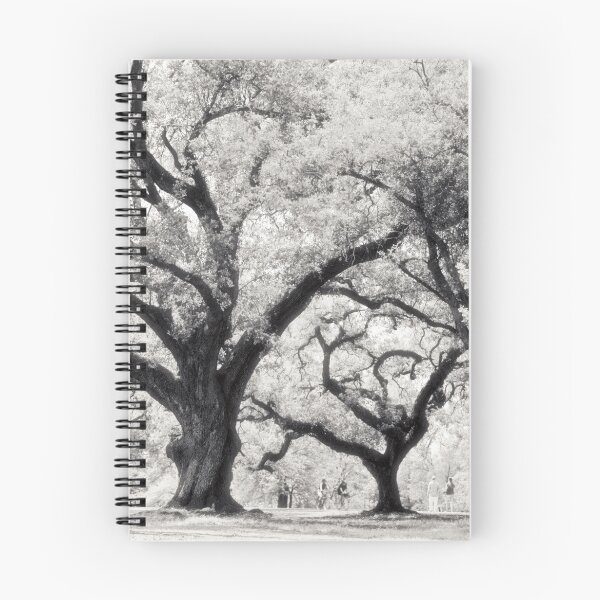 Item preview, Majestic oak trees lining the Audubon Park in New Orleans designed and sold by Yves Rubin.