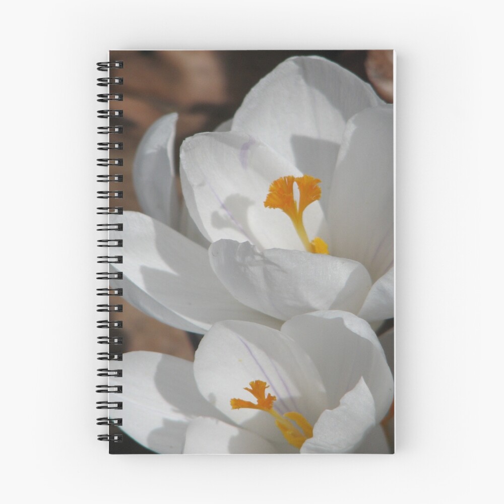Item preview, Spiral Notebook designed and sold by ccwri.
