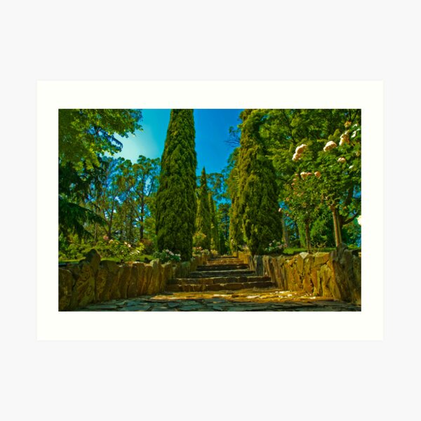 Rose Staircase Art Print