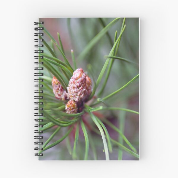 Item preview, Bishop Pine designed and sold by Chris Clarke.