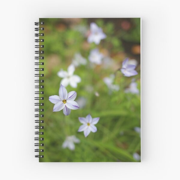 Item preview, Reach for the clouds designed and sold by Norman Repacholi | Keystone Photography.