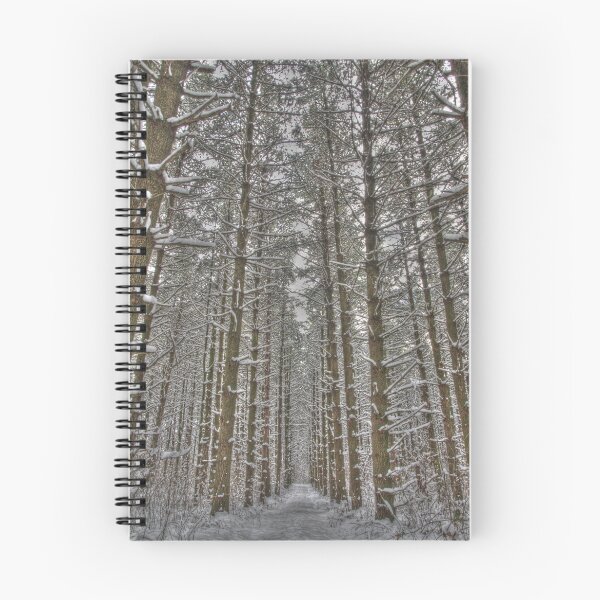Item preview, Snow Scenes - HDR Series - Forest Lane designed and sold by JThill.