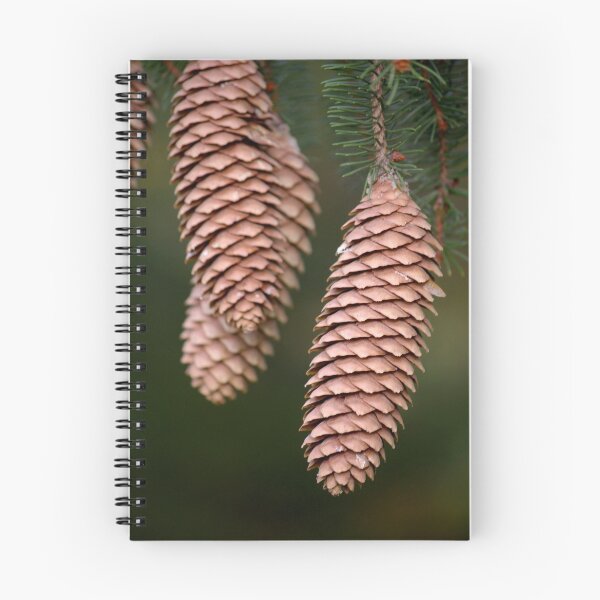 Item preview, Pine Cones designed and sold by rdshaw.