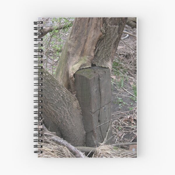 Item preview, Hungry Stump designed and sold by mnkreations.