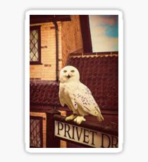 Hedwig on Privet Drive Sign Sticker