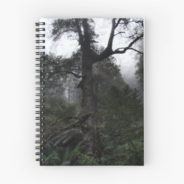 Item preview, Old man Beech tree designed and sold by Vicki Moritz.