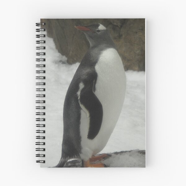 Item preview, Melbourne Aquarium - Gentoo Penguin designed and sold by Skyhorse.
