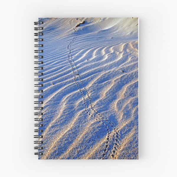 Item preview, Crab Trail, Cable Beach Broome, Western Australia designed and sold by Adrian Paul.