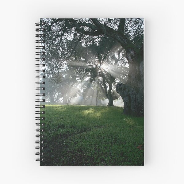 Item preview, Bearing Witness designed and sold by NewDawnPhoto.