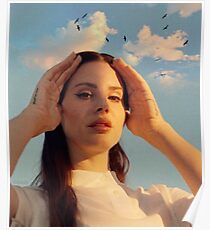 Póster Lana y las gaviotas