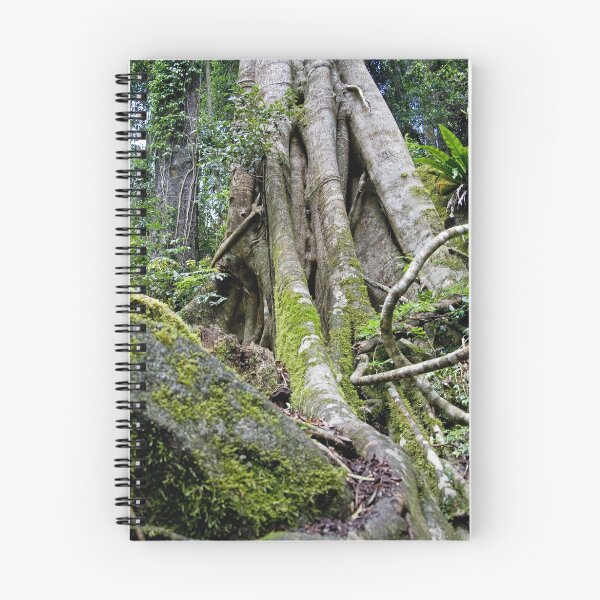 Item preview, Strangler Fig, Lamington National Park, Qld designed and sold by Adrian Paul.