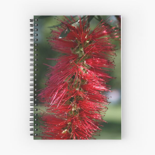 Item preview, Sugar Brush designed and sold by Leesa Habener.