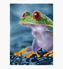 Laubfrosch Fotodruck