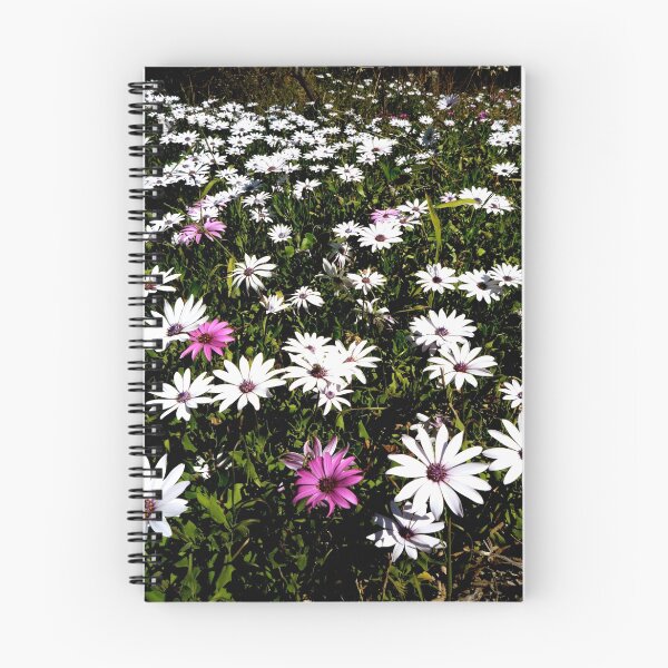 Artikelvorschau, Flower Carpet entworfen und verkauft von Scott Chalmers.