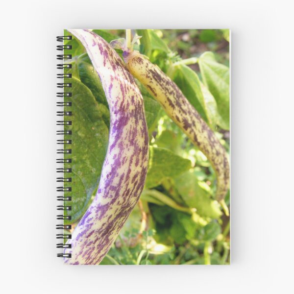 Item preview, snake beans designed and sold by Peta Hurley-Hill.