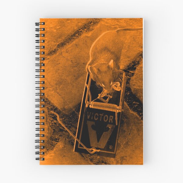 Item preview, Cheaters Never Win and Winners NEVER LOOSE! designed and sold by RealPainter.