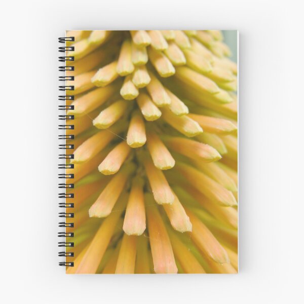 Item preview, Red-Hot Poker  designed and sold by CapturedByKylie.