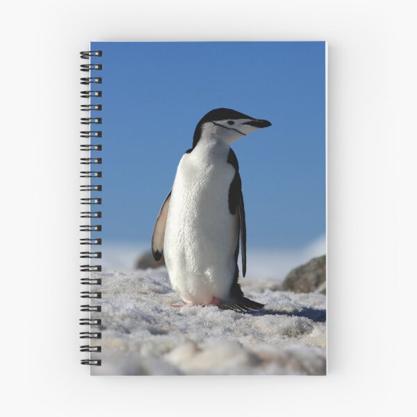Item preview, Chinstrap Penguin, Antarctic Peninsula designed and sold by David Jamrozik.