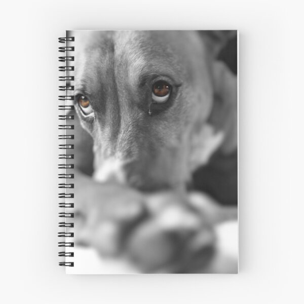 Item preview, Puppy Dog Eyes - SC designed and sold by JThill.