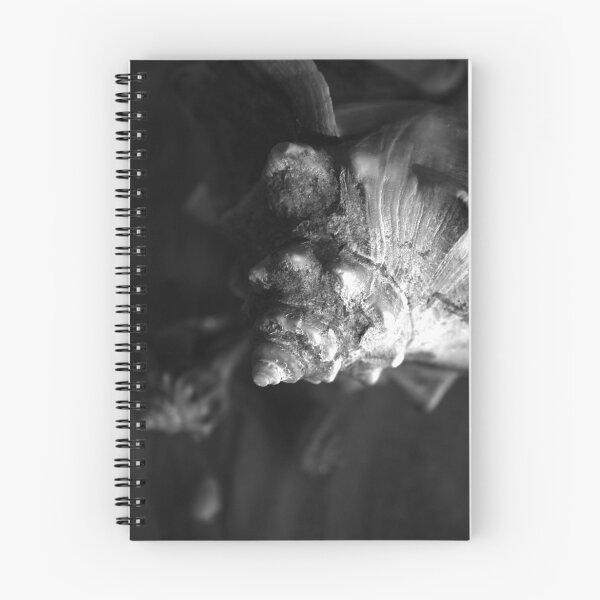 Item preview, Shells designed and sold by Jenn  Dixon.