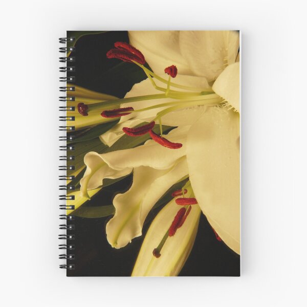 Item preview, In bloom with macro again designed and sold by kimberleyDavo.
