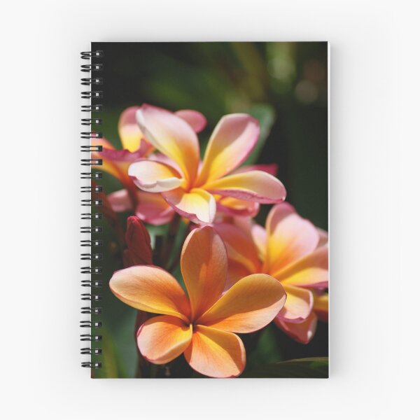Item preview, Frangipani designed and sold by Jennifer Ellison.
