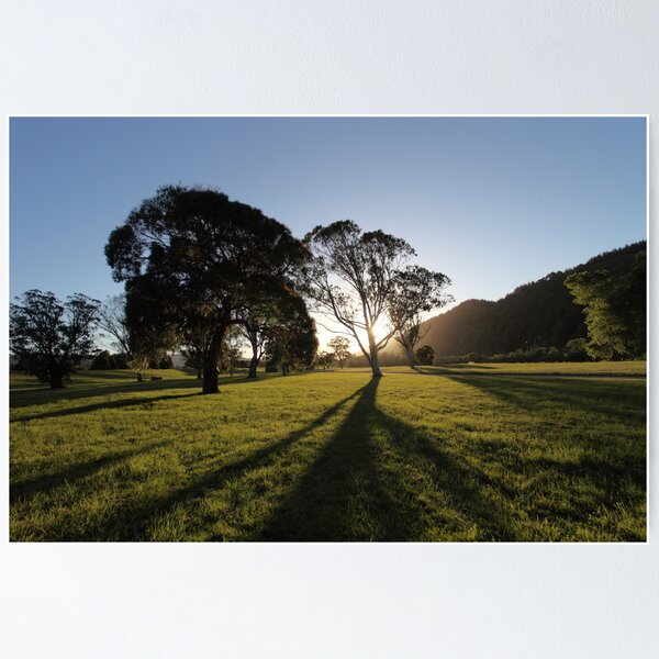 Item preview, Long Shadows of summer designed and sold by Shane Harris.