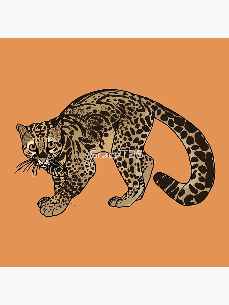 Marbled Cat Art Board Print By Gracet26 Redbubble