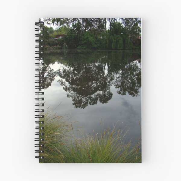 Item preview, mirror image designed and sold by Jan Stead JEMproductions.