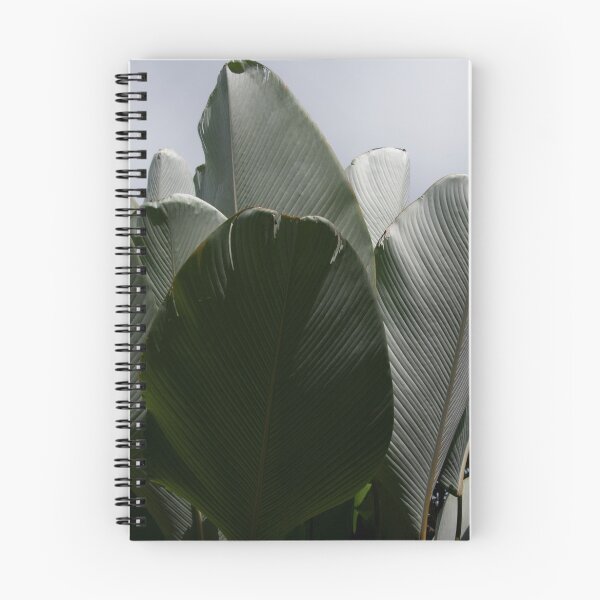 Item preview, Solarization designed and sold by Michael Hood.