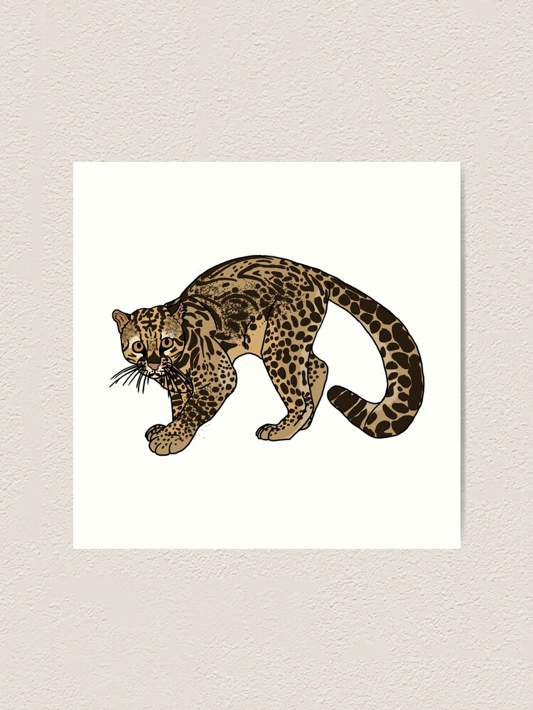 Marbled Cat Art Print By Gracet26 Redbubble