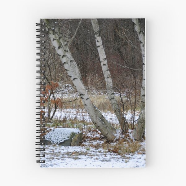 Item preview, Winter Birches designed and sold by Anne Smyth.