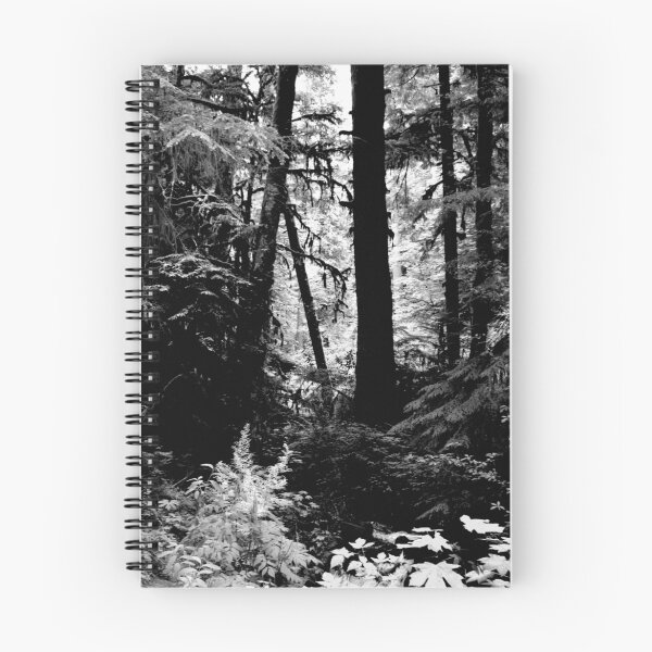 Item preview, "Forest Light" designed and sold by Lynn Bawden.