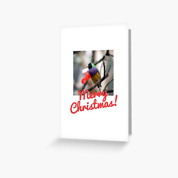 Chirstmas Cheep Greeting Card